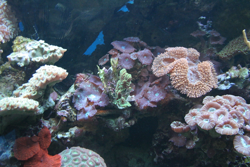 Killikus&reg; Fotographie